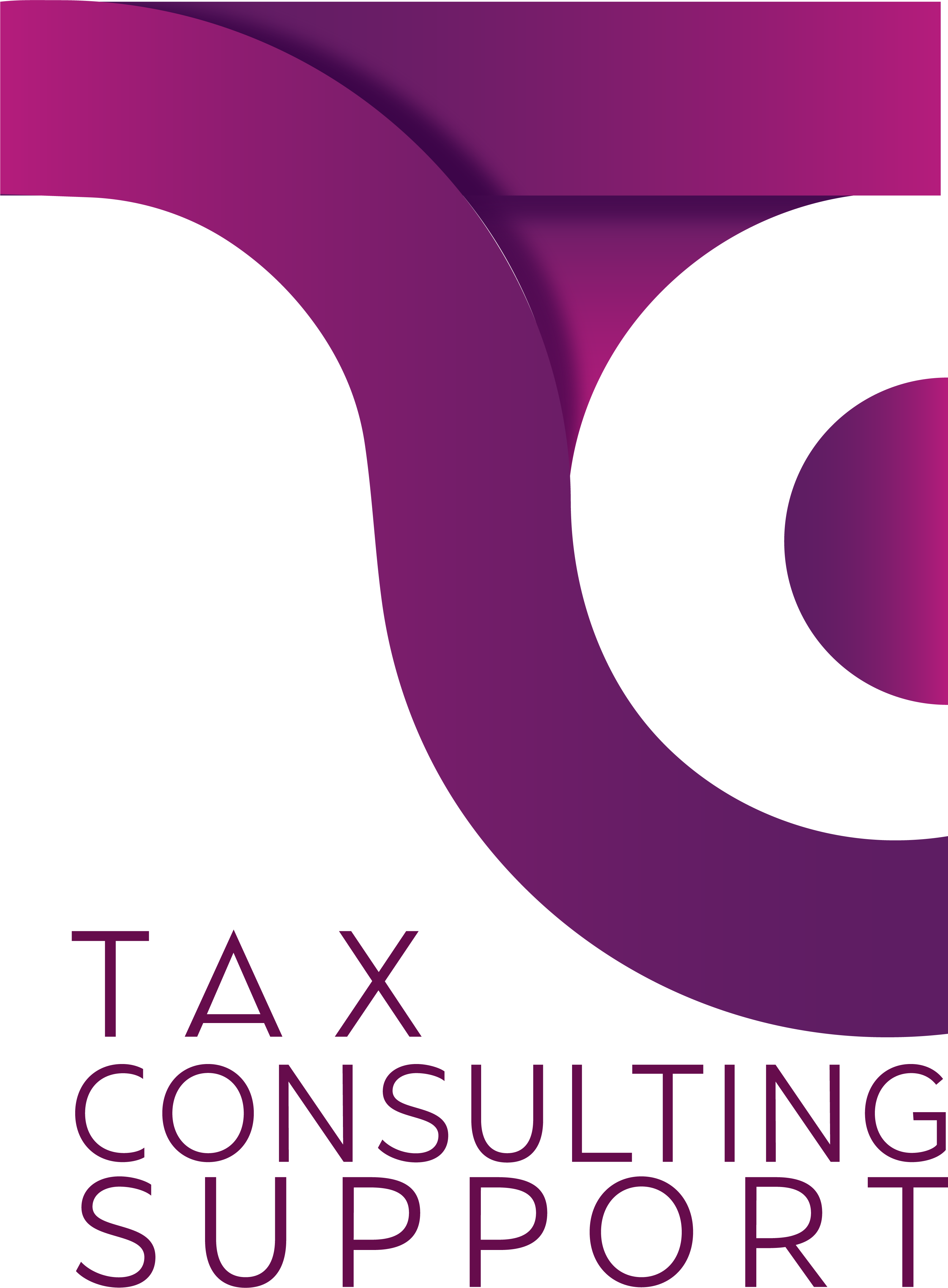 TAX CONSULTING SUPPORT S.C.